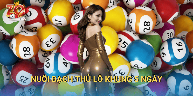 Nuôi bạch thủ lô khung 5 ngày hiệu quả trên Zowin 6 Nuôi bạch thủ lô khung 5 ngày.